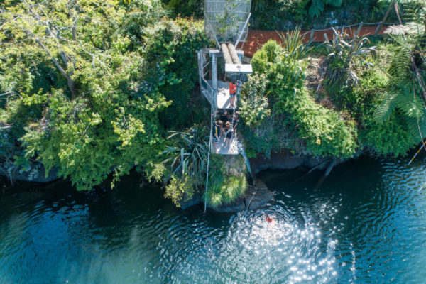 Waimarino Adventure Park | Tarazan Rope Swing