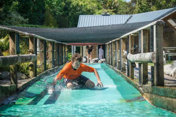 Slip and Slide- Waimarino Adventure Park