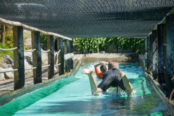 Waimarino Adventure Park | Child on WaterSlide