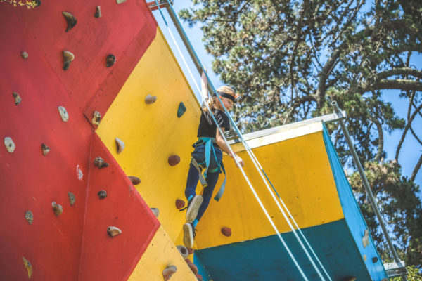 Waimarino Adventure Park | Child Rock Climbing