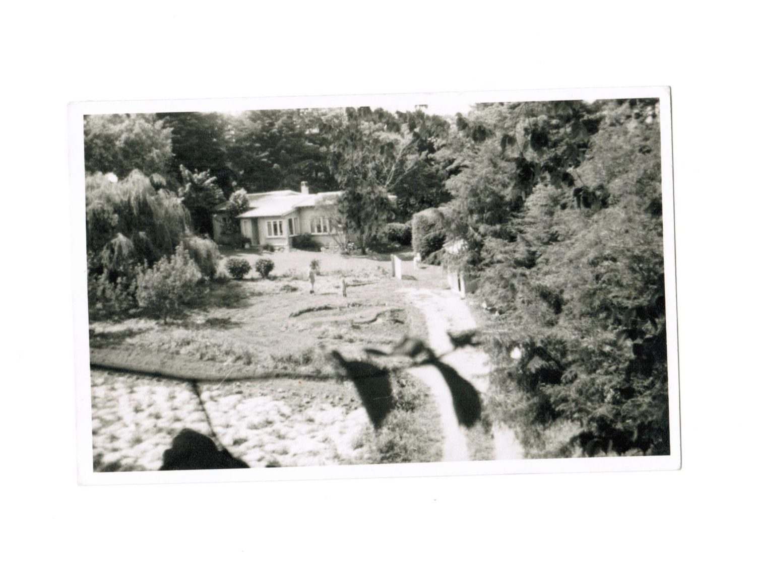 Waimarino Adventure Park | History of Waimarino