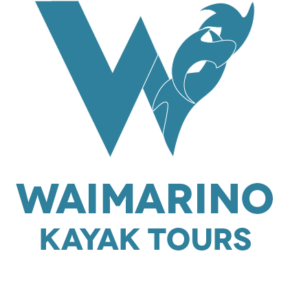 Blue Kayak Tours Logo
