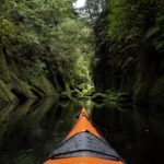 Daytime Kayak Tauranga